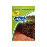 Semilla Swinglia Limón Ornamental 5 Gramos