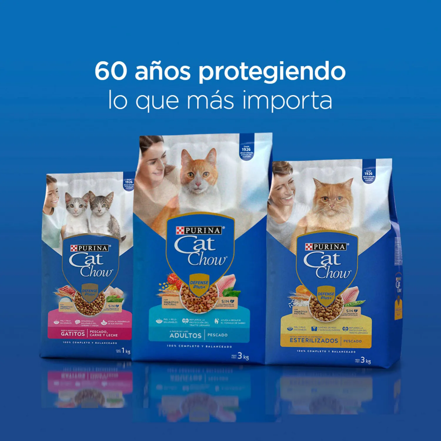 Comida Seca Para Gato Vida Sana Cat Chow 1.3kg 5