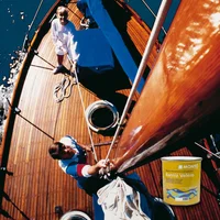 Barniz  Interior/Exterior Velero Brillo Montó 750 ml