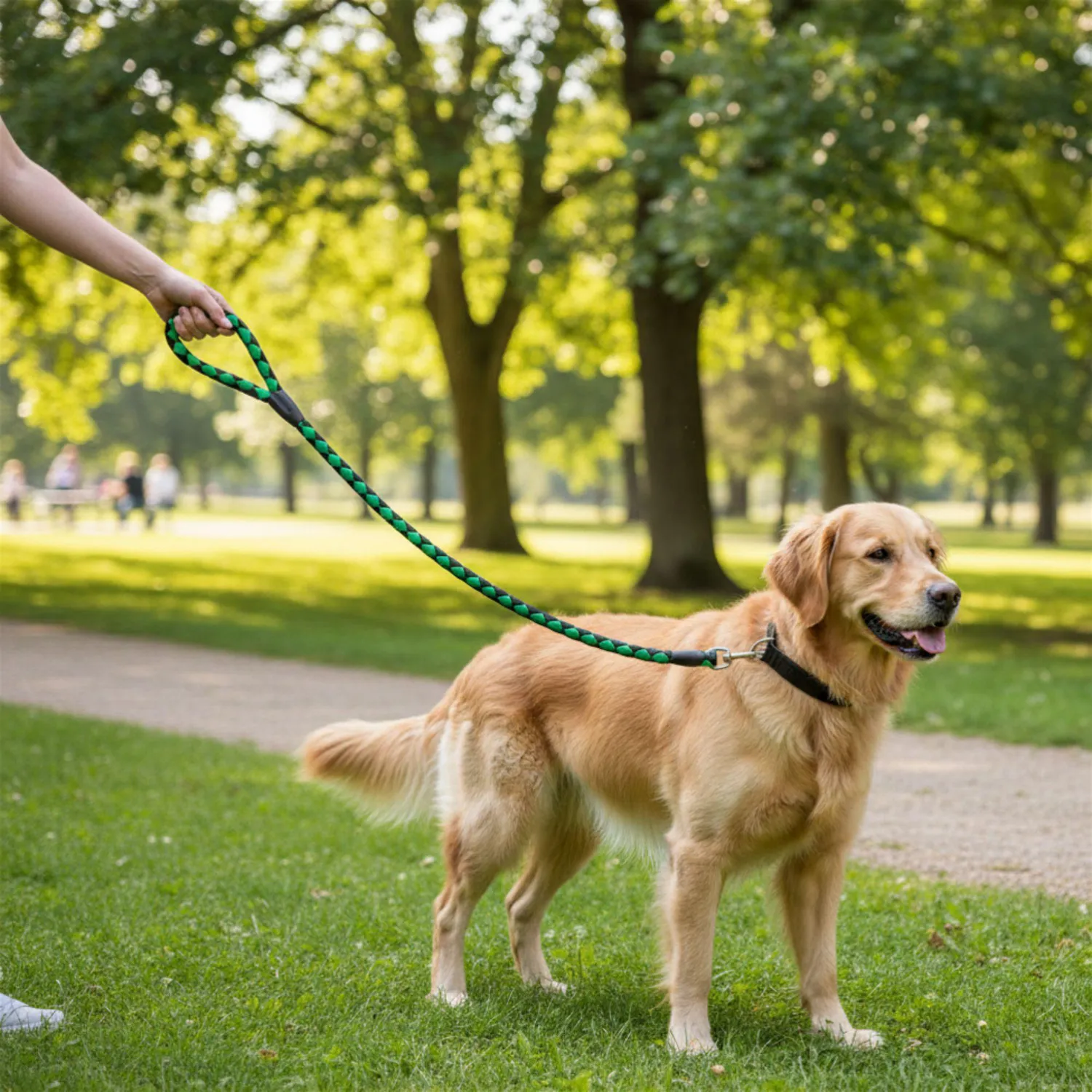 Trailla Cordón Para Perro Reata Interpet 60 Cm