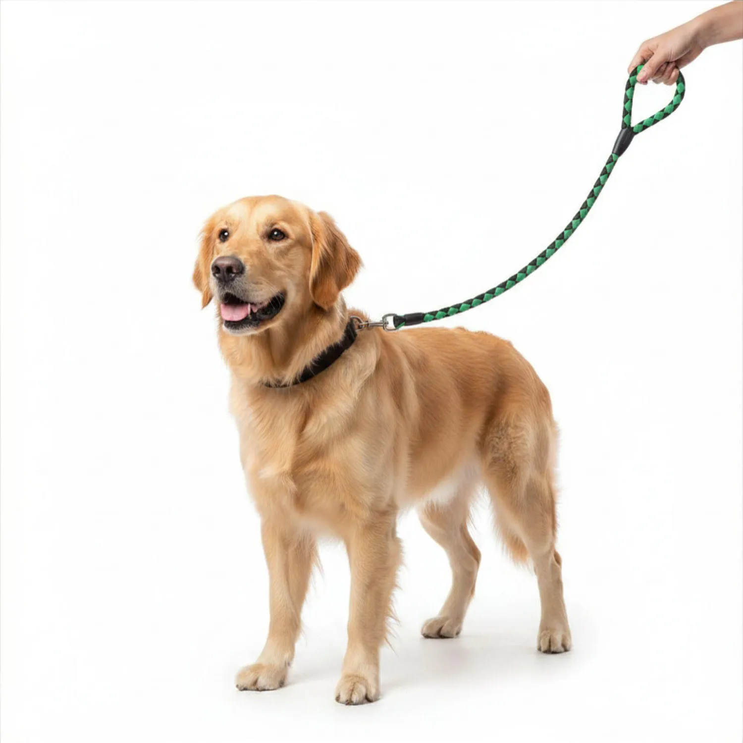 Trailla Cordón Para Perro Reata Interpet 60 Cm 4
