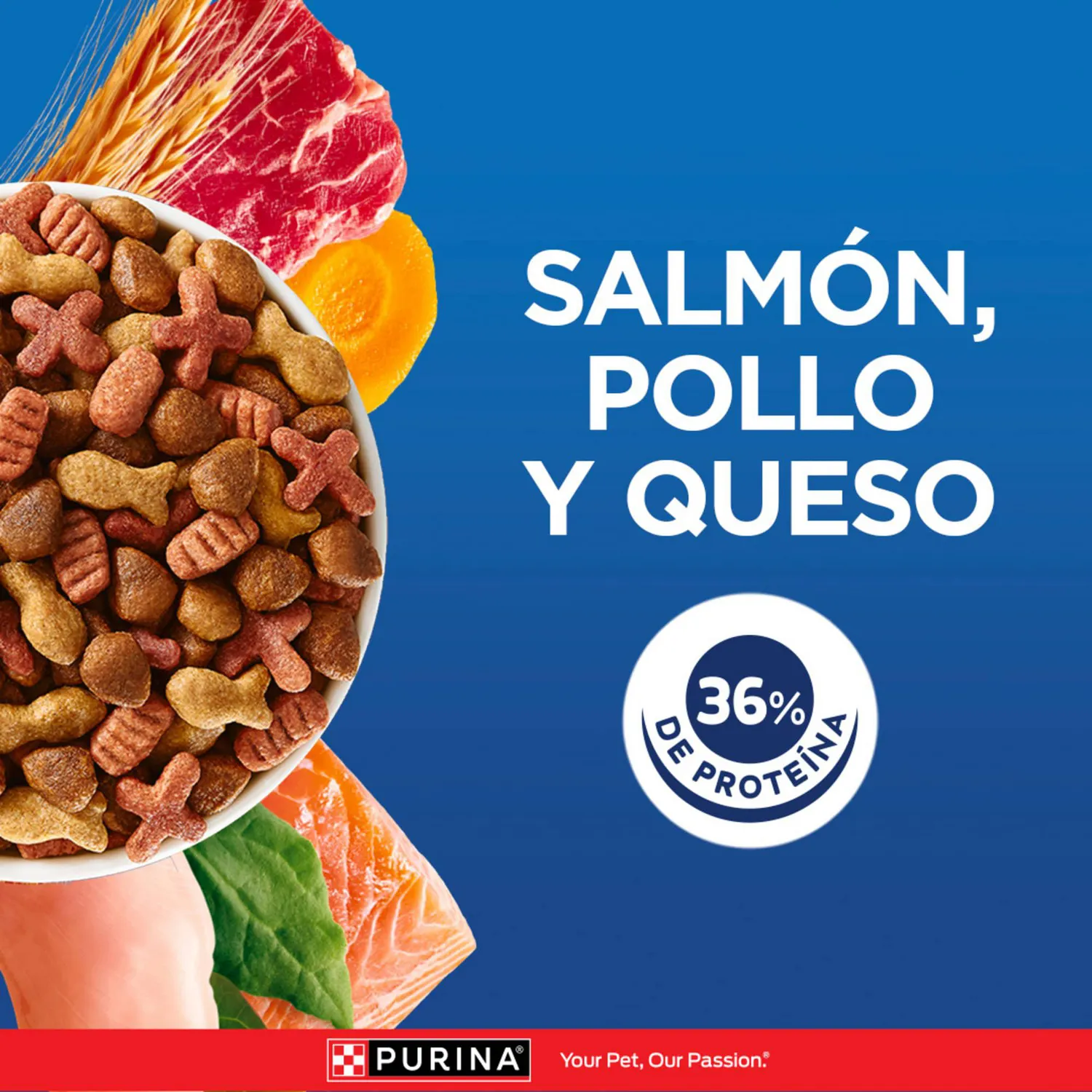 Comida Seca Para Gato Vida Sana Cat Chow 3kg 5