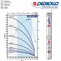 Electrobomba Sumergible Lapicero 4 Pulgadas 2 HP 220V 1f 4SR33G/20MP Pedrollo