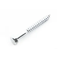 Tornillo Tirafondo Zinc 5/16X2-1/2Pg 2Und