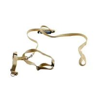 Kit Para Gato Correa 1.10 Cm + Pechera 56x32 Cm Petizoos Surtidos