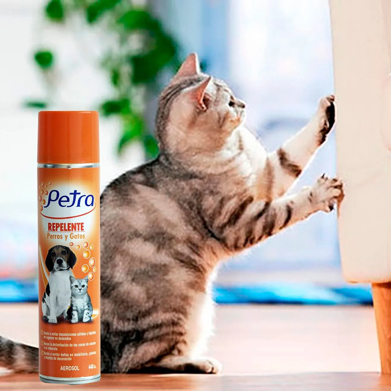 Repelente Para Perros Y Gatos Petra 440ml 4