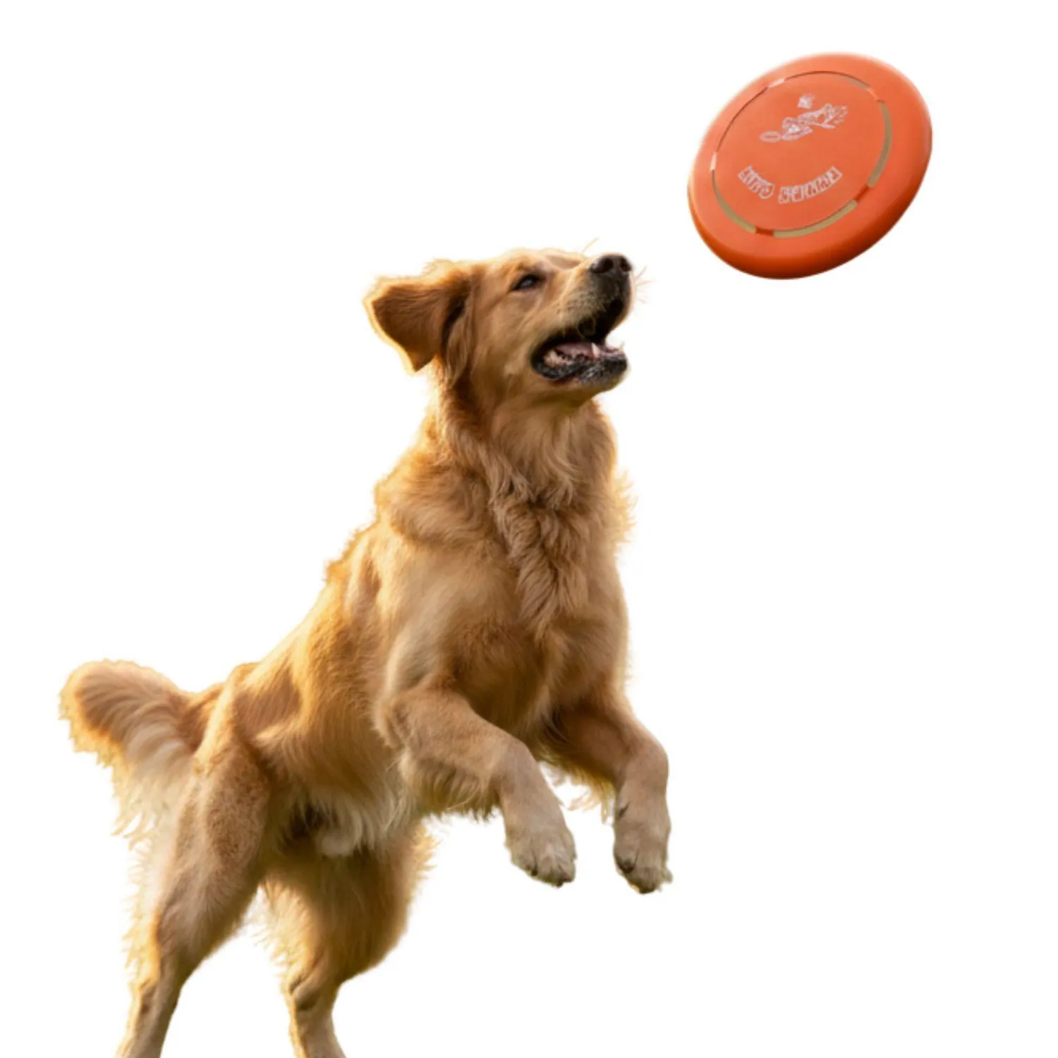 Fresbee Para Perro Diseños Interpet 24 cm