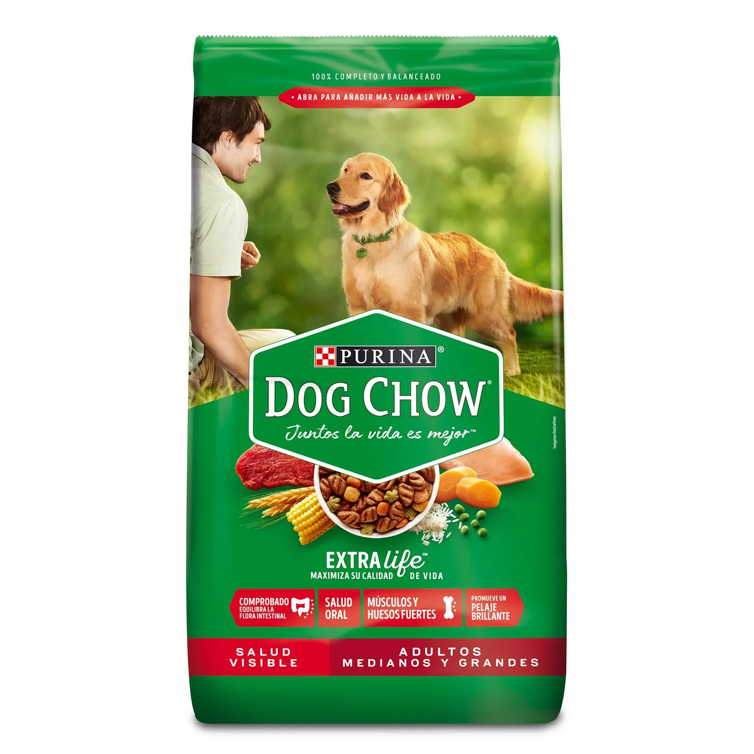 Comida Seca Para Perro Dog Chow Salud Visible Adultos Medianos Y Grandes 4kg