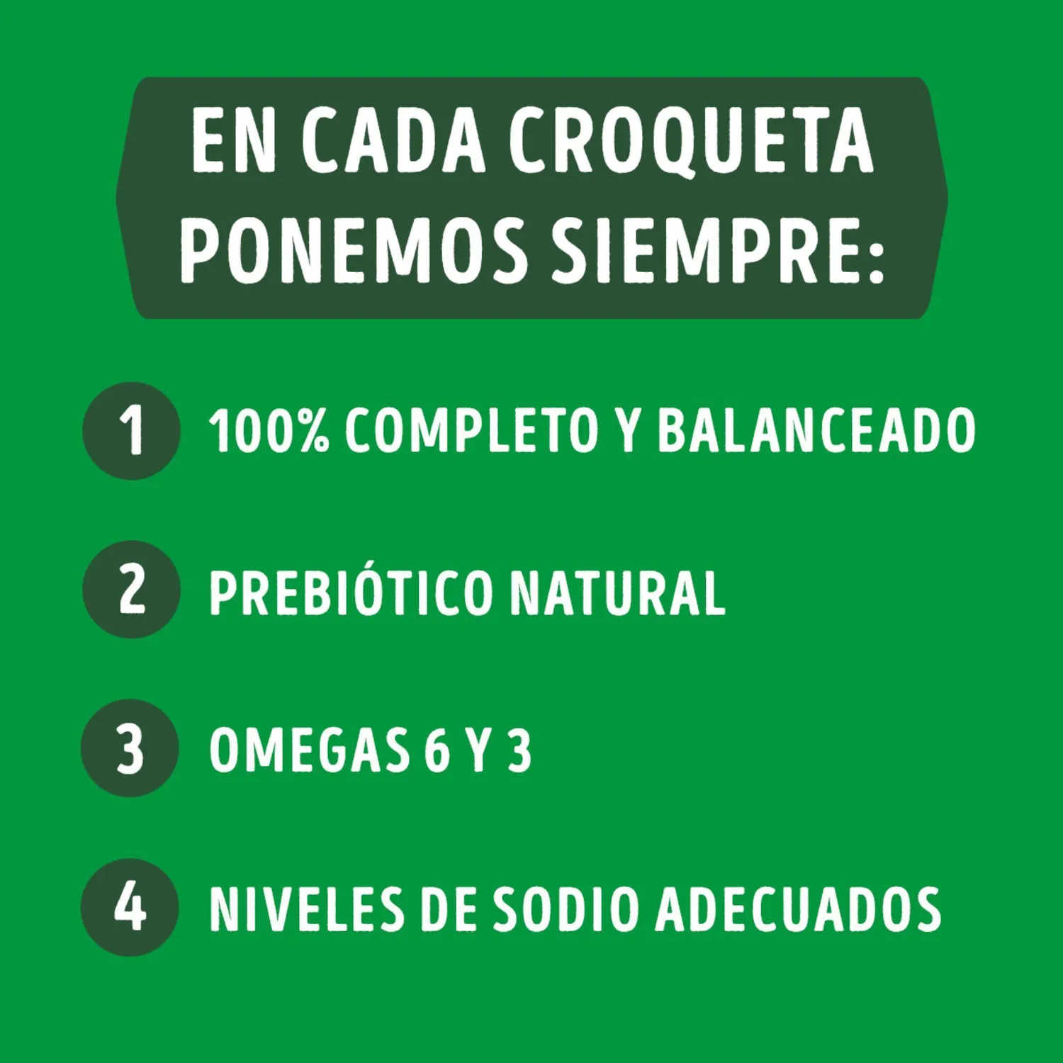Comida Seca Para Perro Dog Chow Salud Visible Adultos Medianos Y Grandes 8kg 7