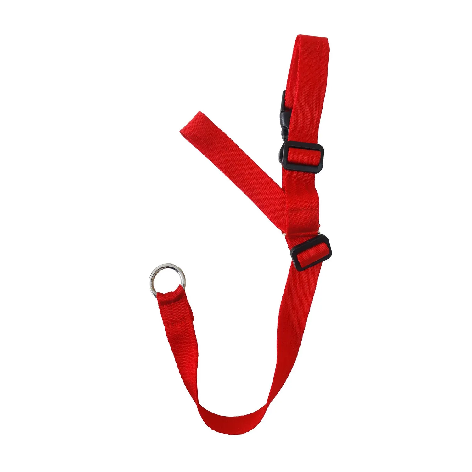 Collar Para Perro Entrenamiento Halty Grande Interpet 5