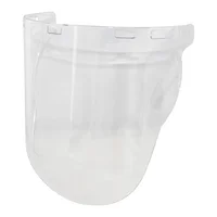 Visor Claro Af Mentonera Z87+