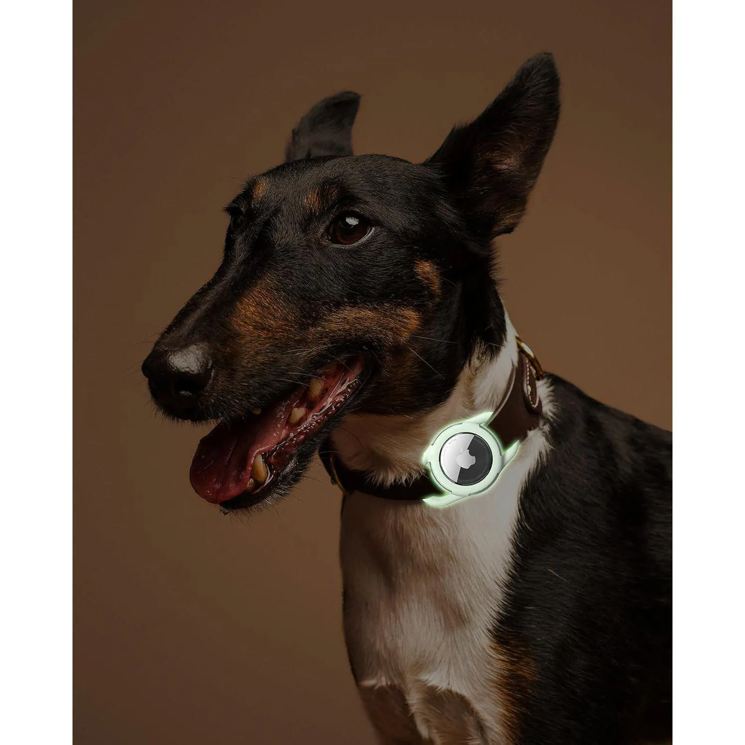 Soporte airtag para collar de perro silicona y abs duradero 6