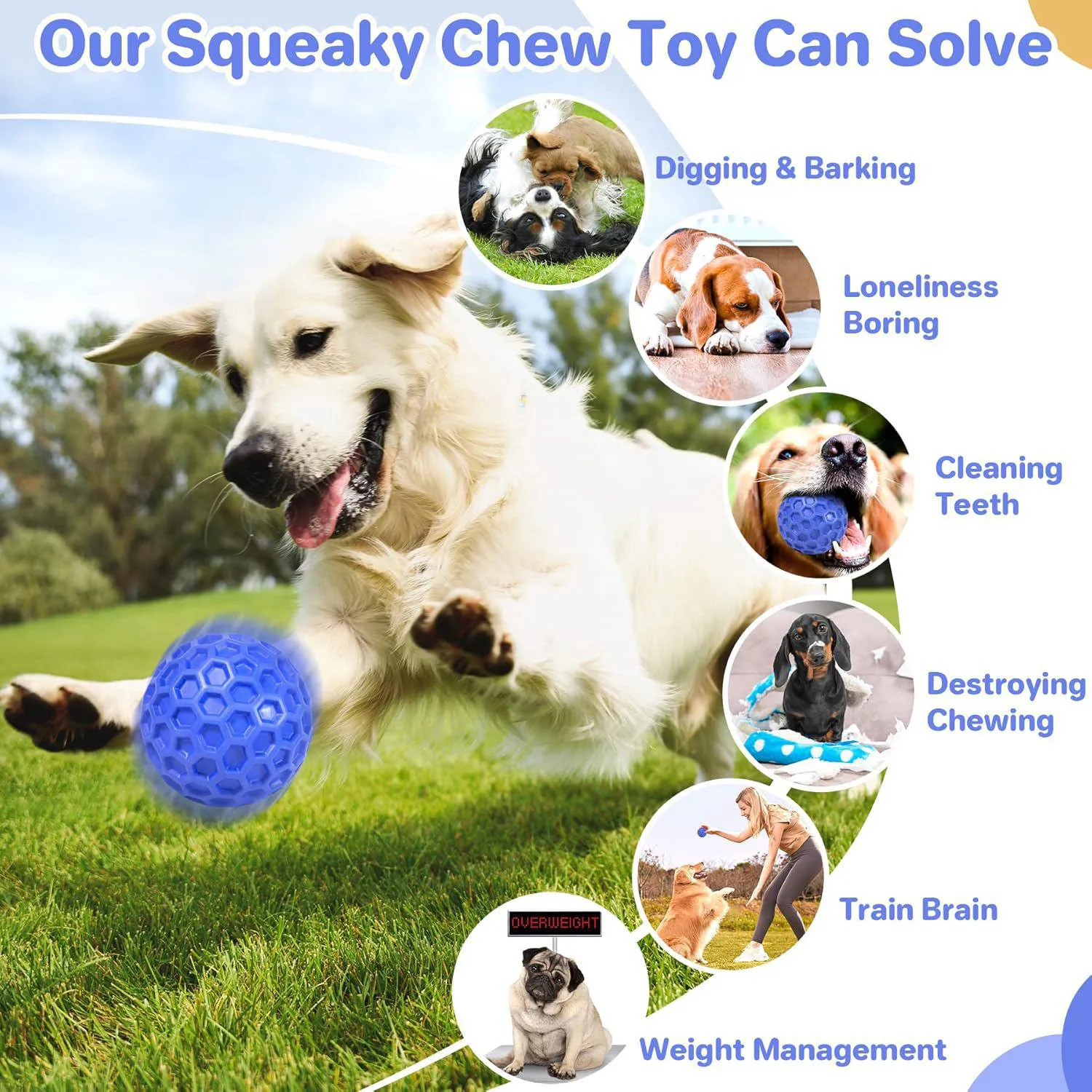 Pelota Chirriante Resistente Para Perros Que Limpia Dientes Y Reduce Ansiedad 5