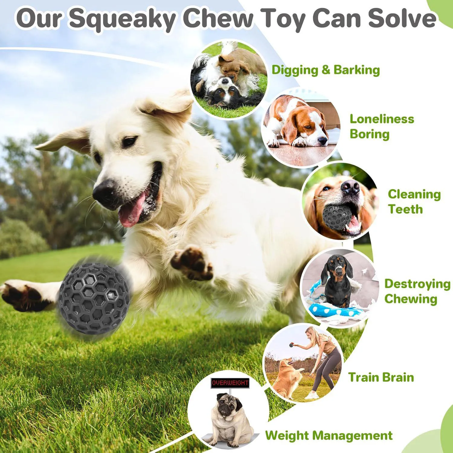 Pelota Chirriante Resistente Para Perros Masticadores Agresivos 5