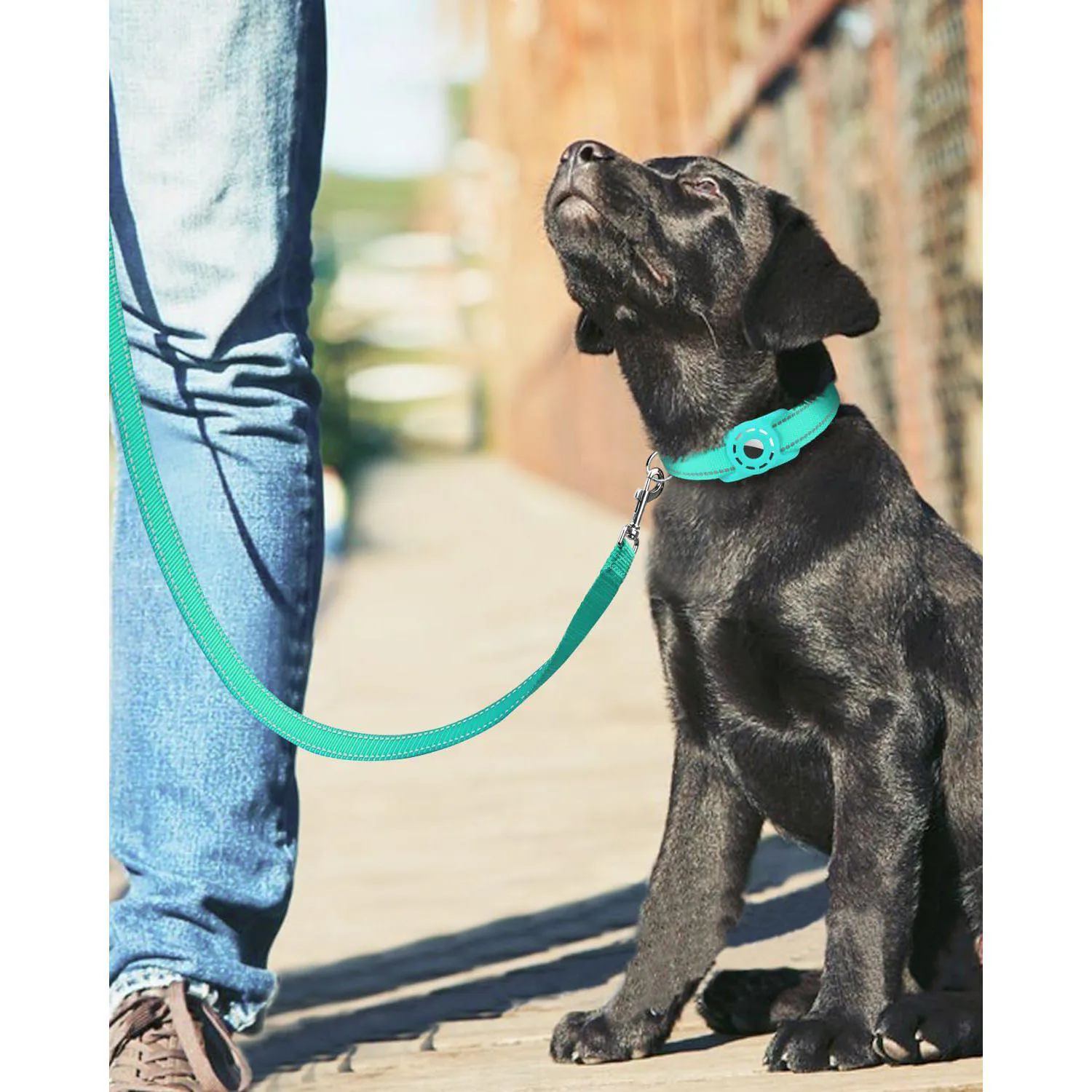 Correa Reflectante de Nylon para Perros Padded 6ft 3/4inch 5