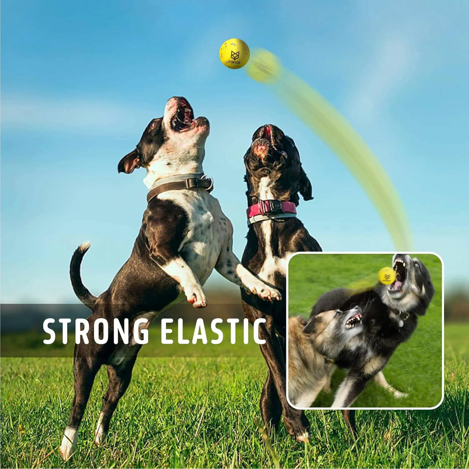 Pelotas Interactivas Para Perros Resistentes Al Agua Con Limpieza Dental 5