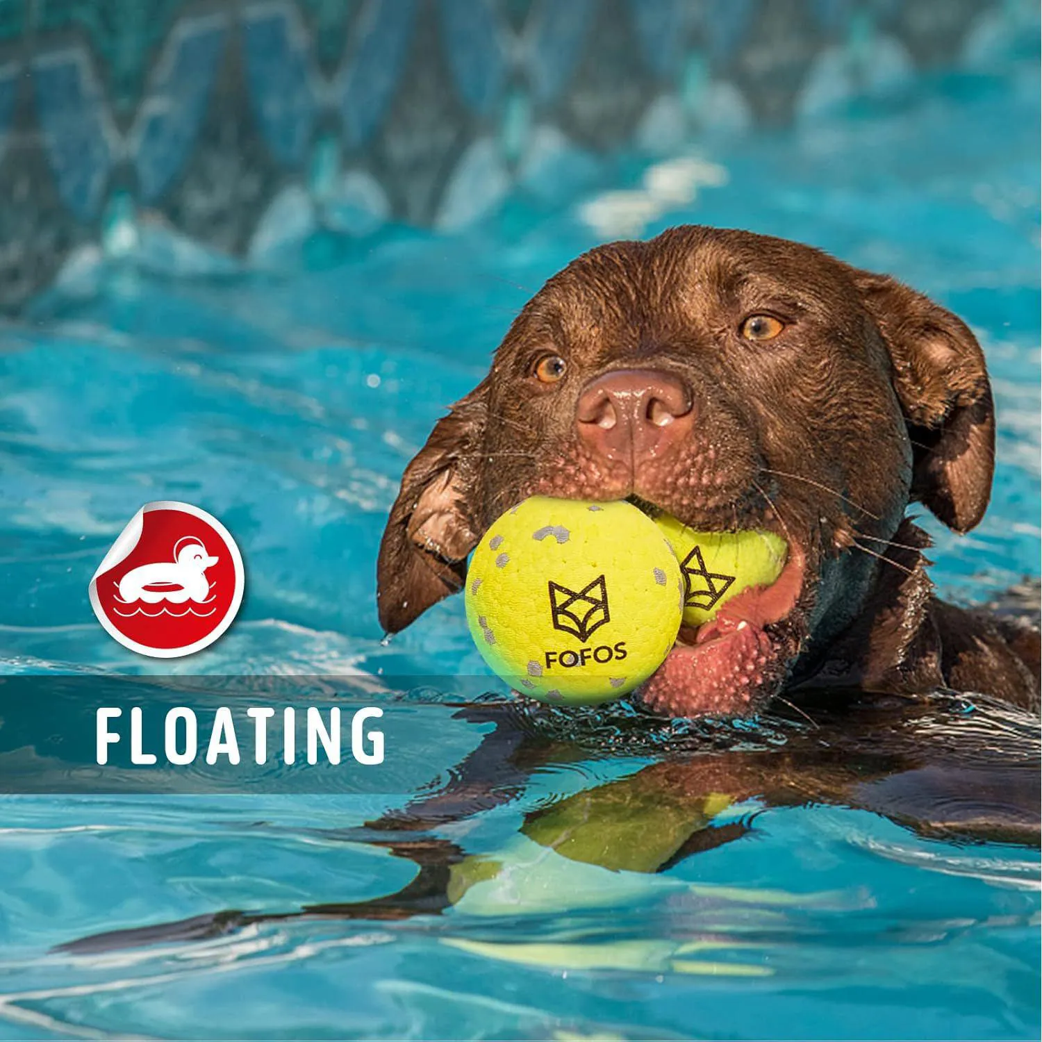 Pelotas Interactivas Para Perros Resistentes Al Agua Con Limpieza Dental 7