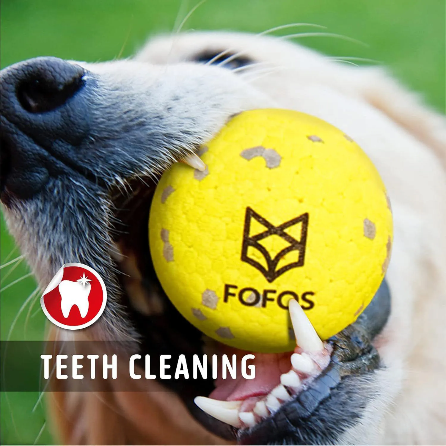 Pelotas Interactivas Para Perros Resistentes Al Agua Con Limpieza Dental 8