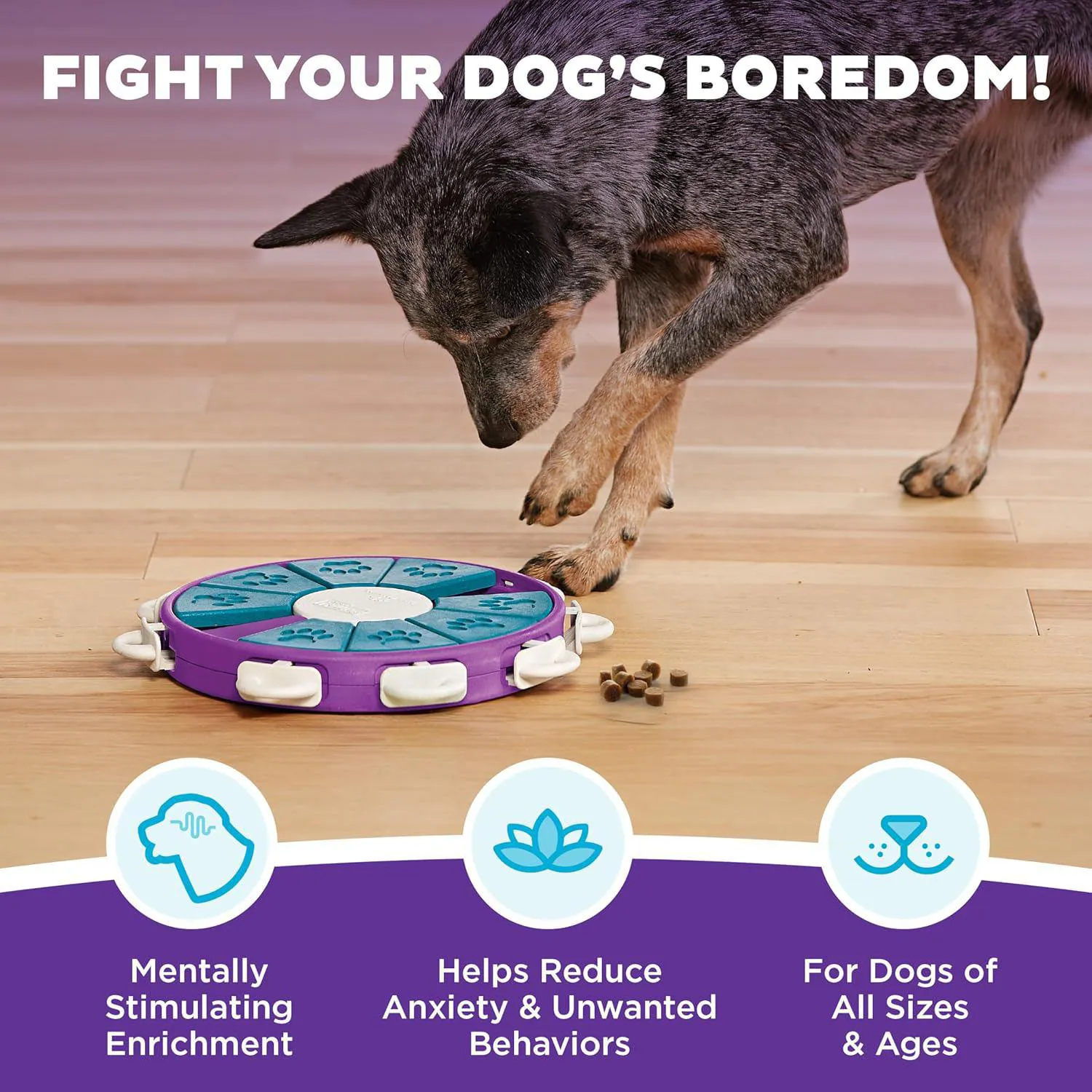 Juego Avanzado para Perros con Compartimentos para Premios y Deslizadores Interactivos