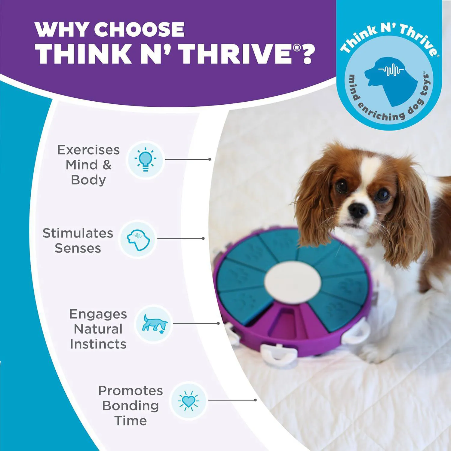 Juego Avanzado para Perros con Compartimentos para Premios y Deslizadores Interactivos 6