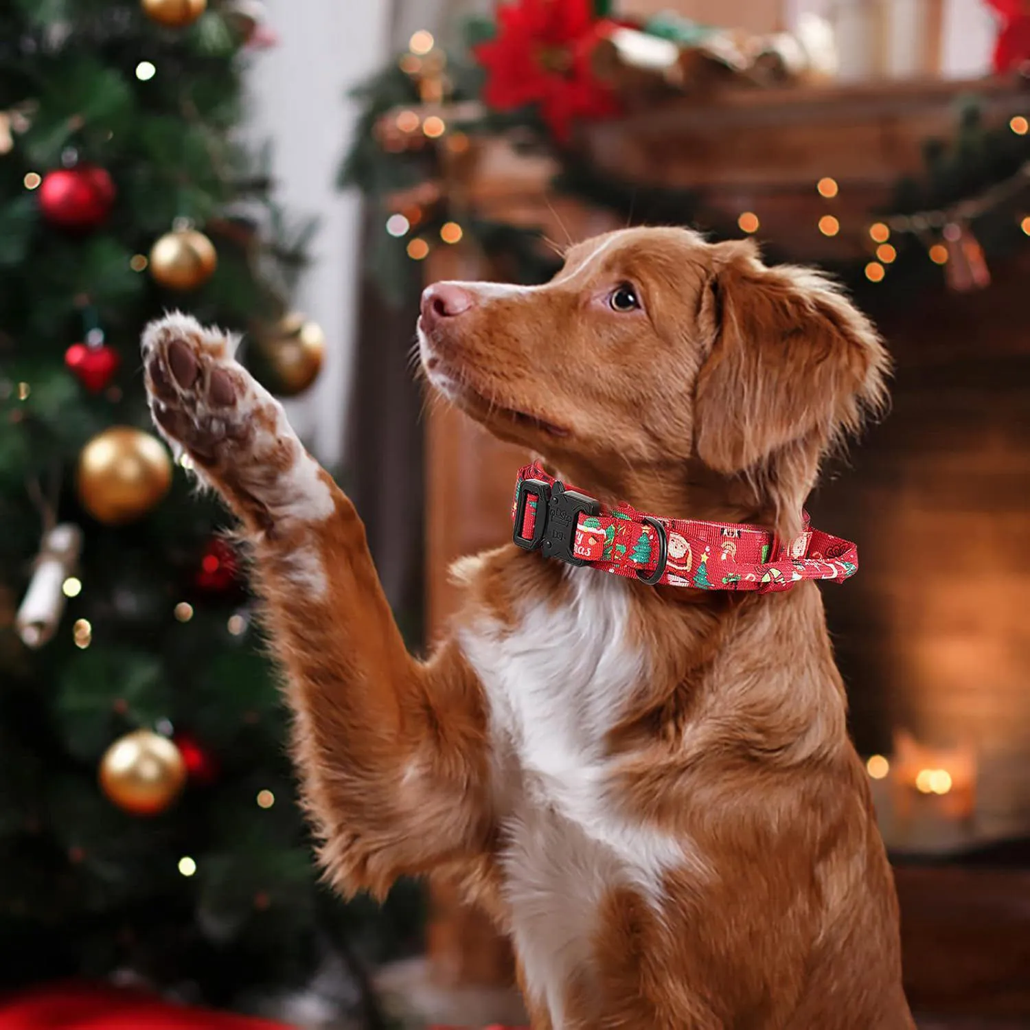 Collar Táctico Para Perro Con Asa Funda Para AirTag Y Parches DAGANXI 4