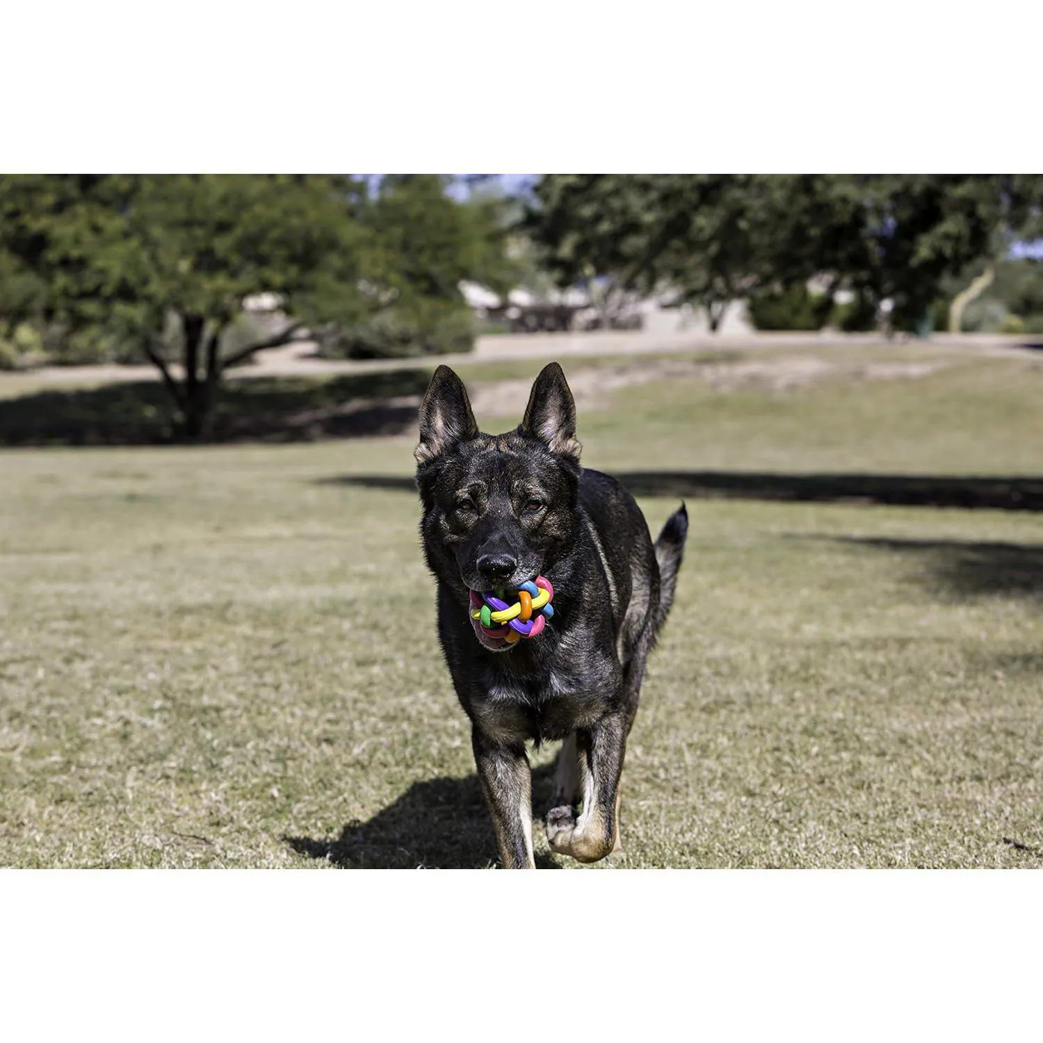 Pelota De Goma Multipet Para Perros Con Diseño Entretejido