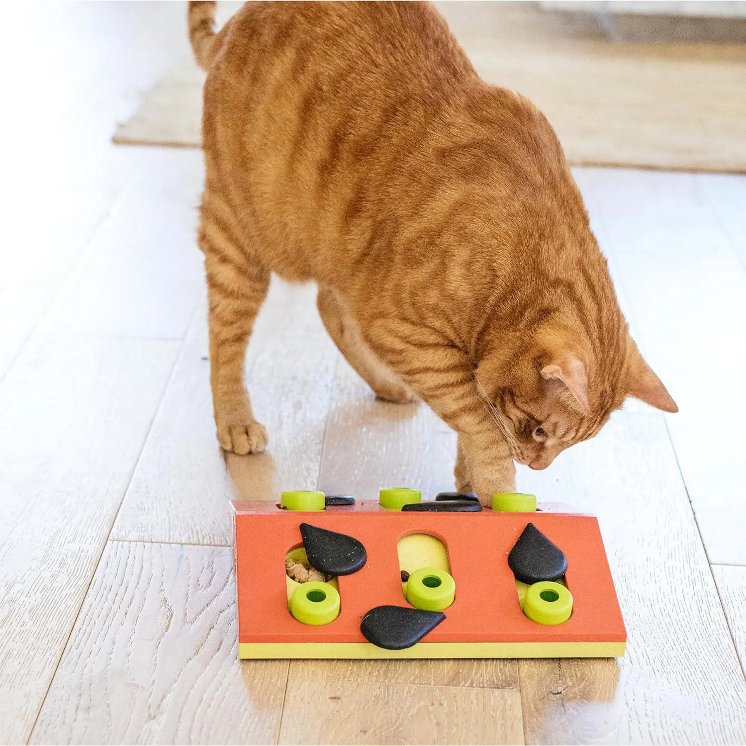 Rompecabezas Interactivo para Gato con Compartimientos para Premios y Alimentación Lenta 7
