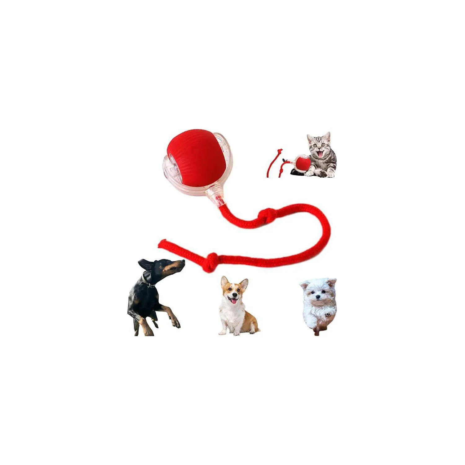 Pelota Interactiva Inteligente Para Perros Y Gatos Con Movimiento Automático