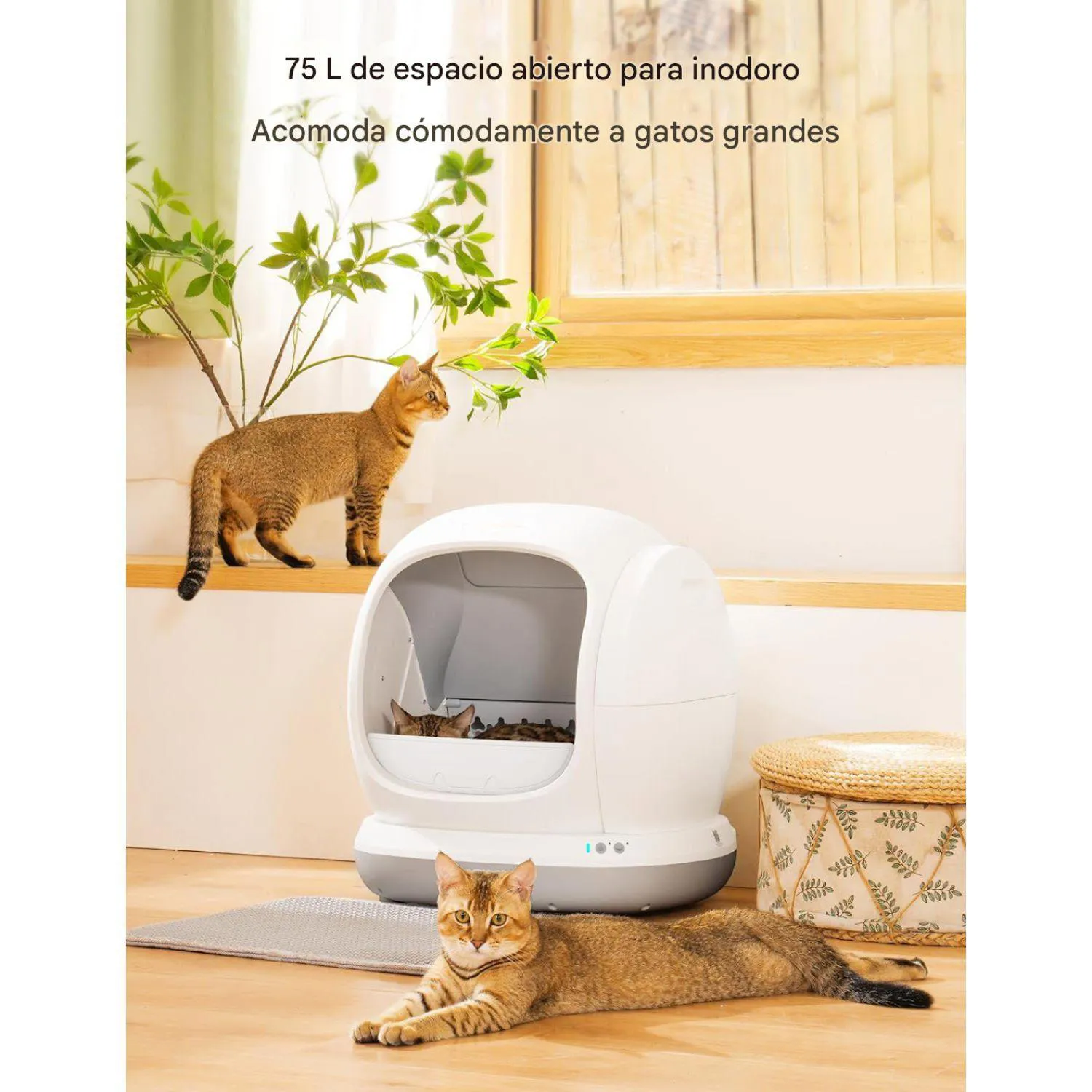 Arenero Automático para Gatos Meowant 75 L con Control por App y Entrada Baja 3