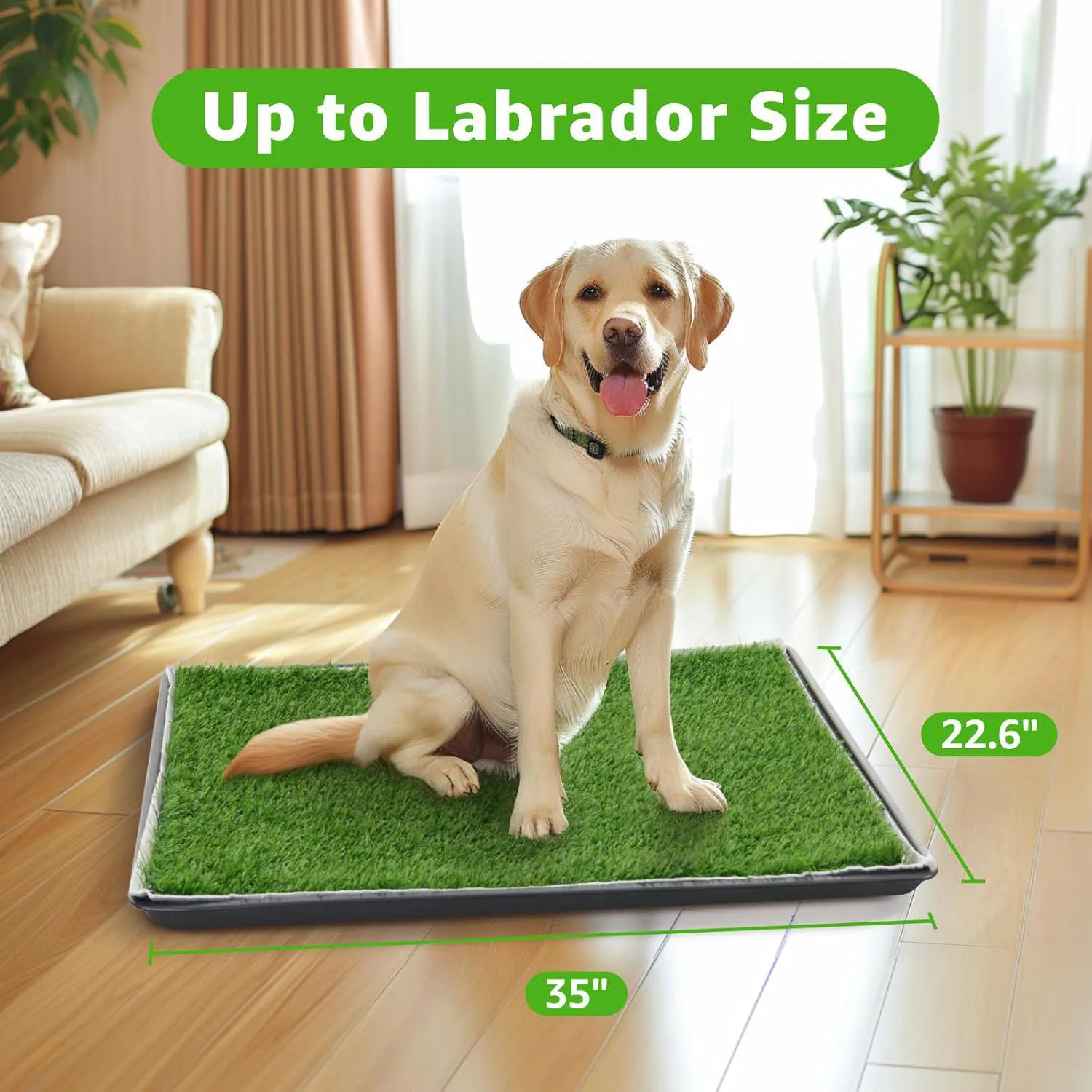 Baño Portátil para Perros con Césped Artificial y Bandeja Reutilizable Color Verde 3