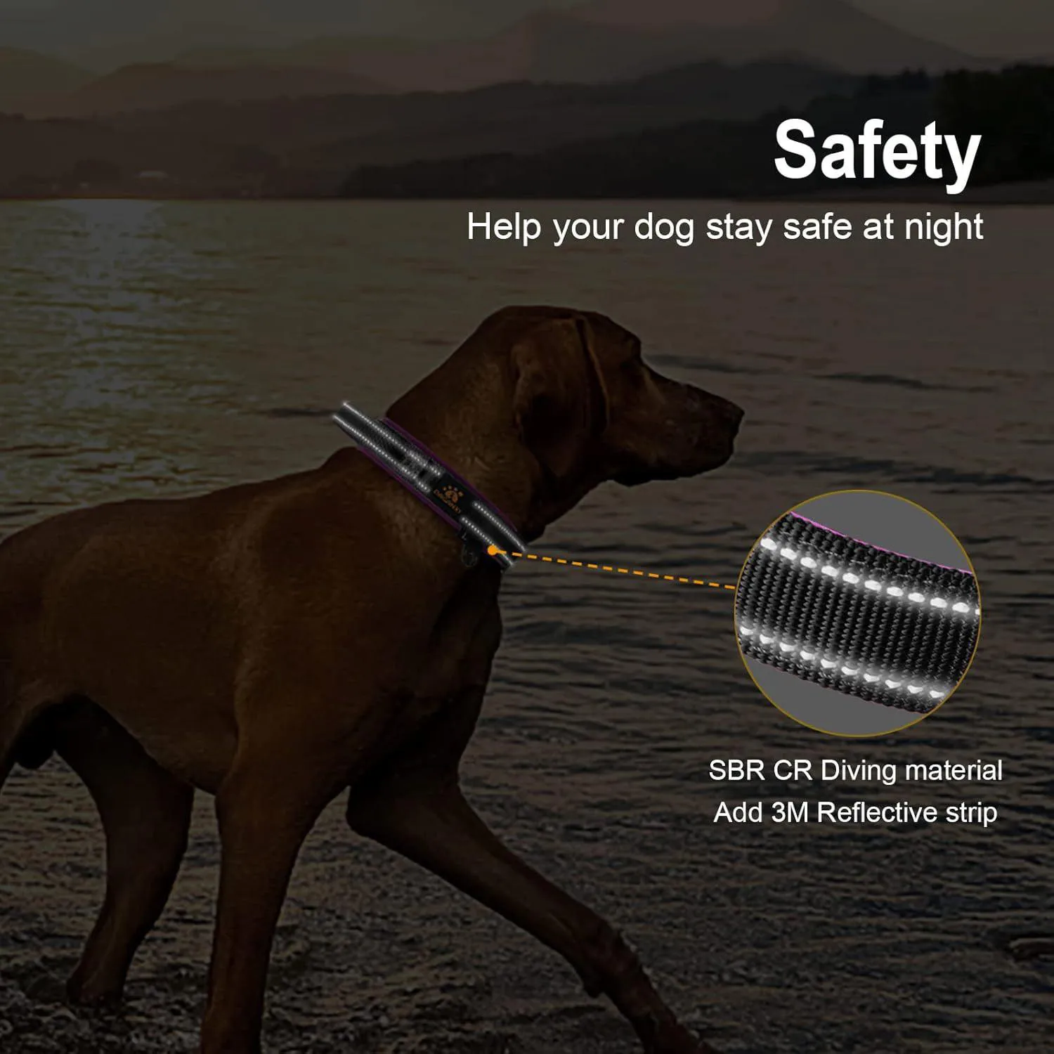 Collar para Perro Ajustable Neopreno con Dispensador 5