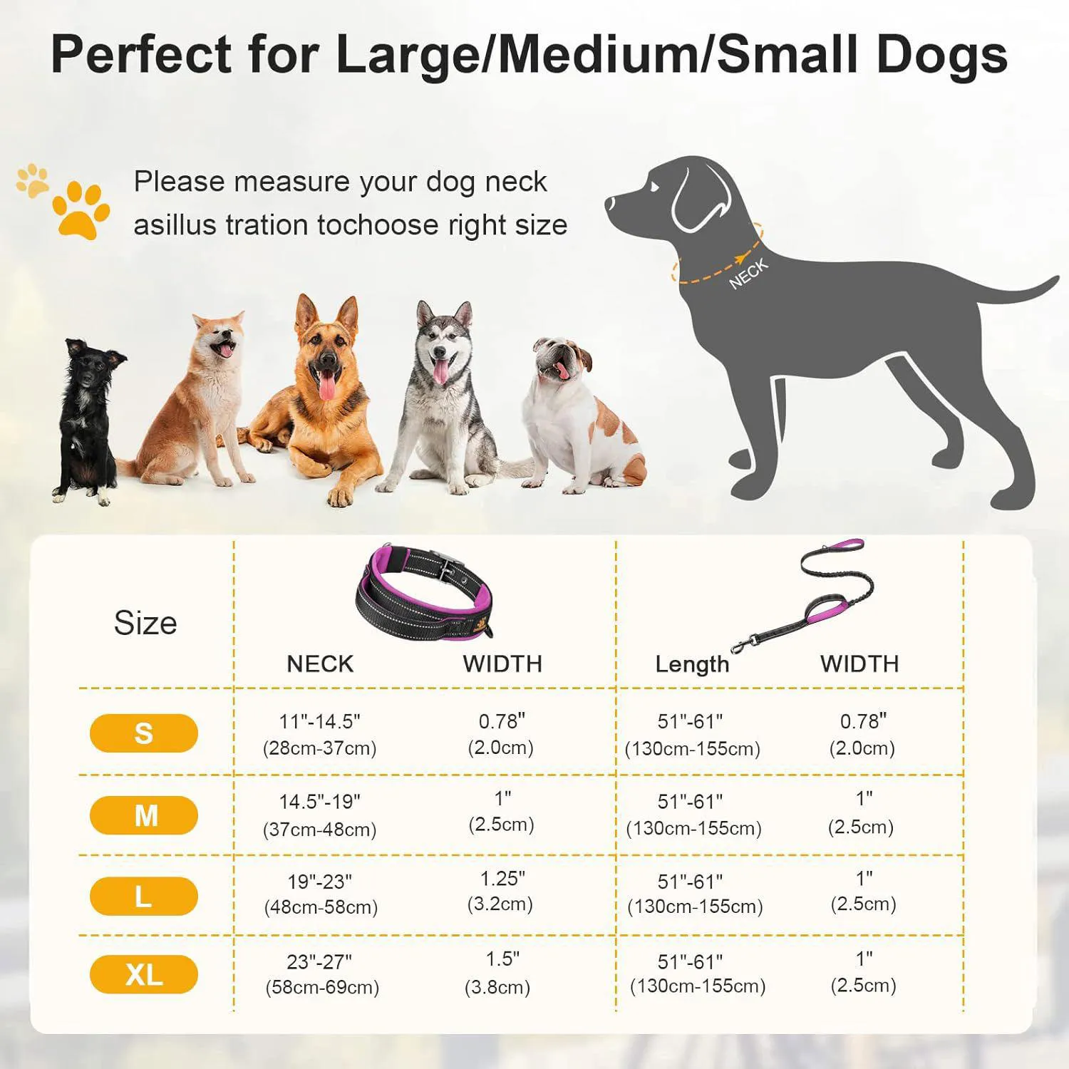 Collar para Perro Ajustable Neopreno con Dispensador 6