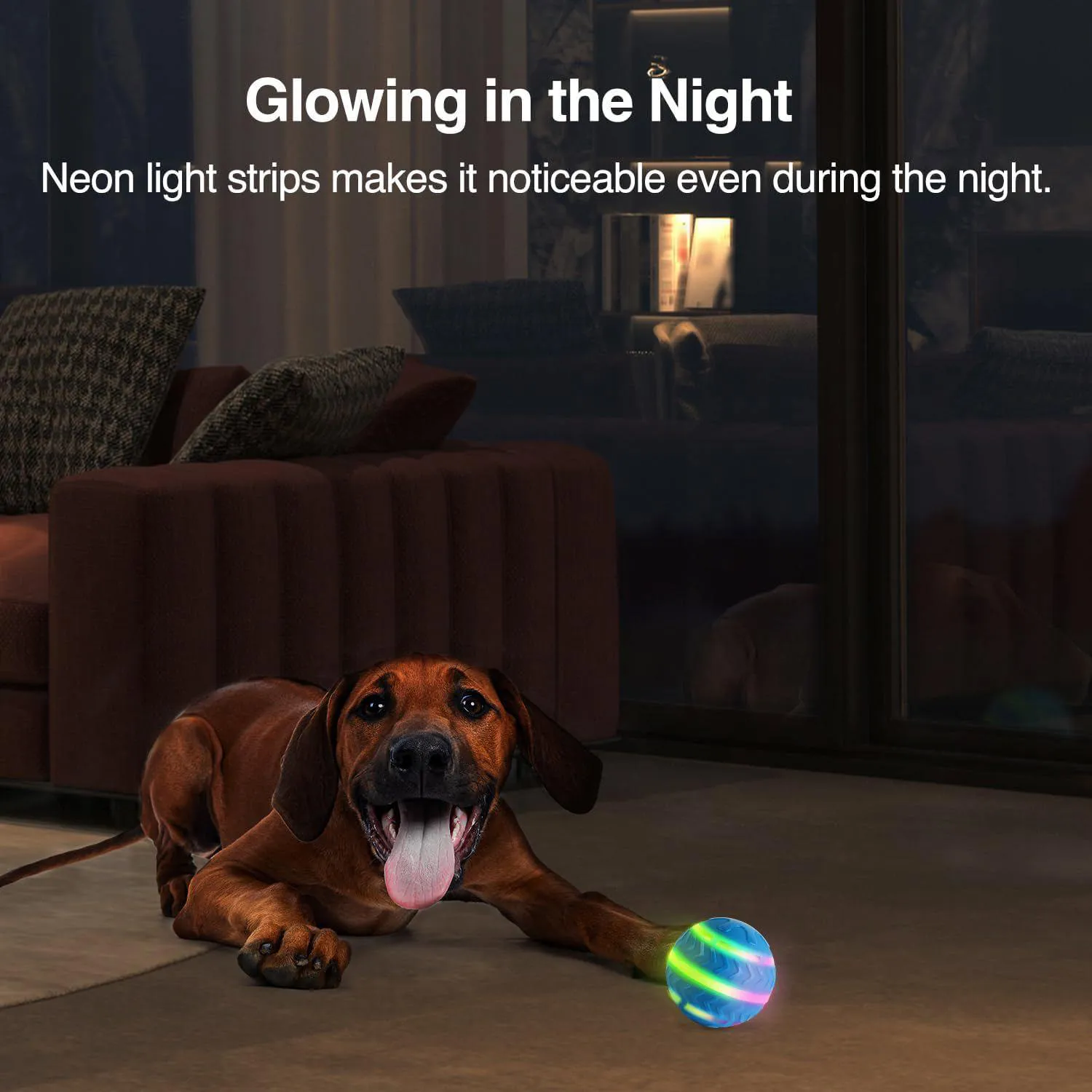 Pelota Interactiva LED para Perros con Movimiento Automático Recargable 6