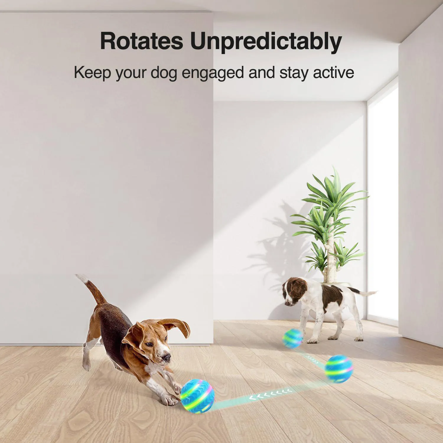 Pelota Interactiva LED para Perros con Movimiento Automático Recargable 7