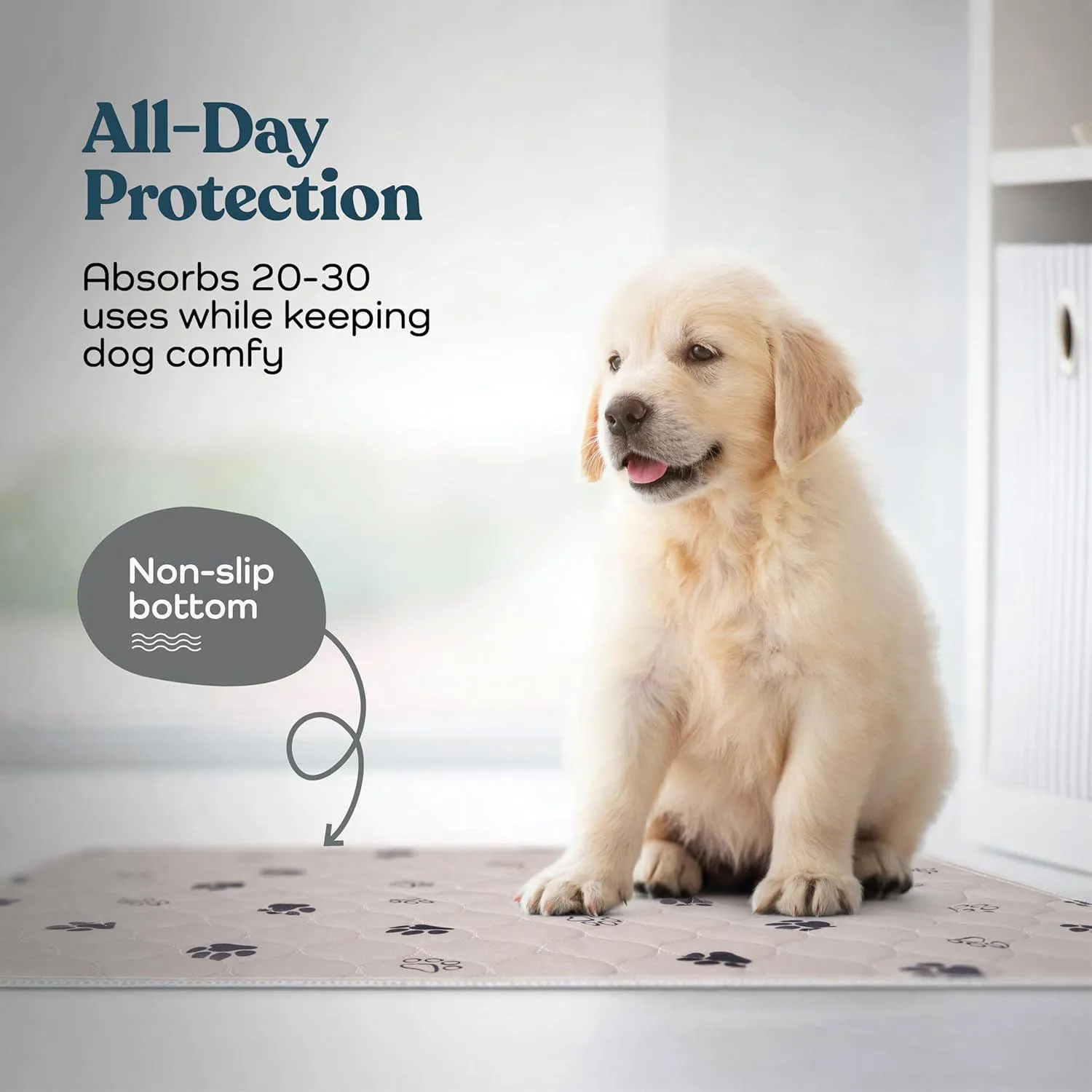 Almohadillas Lavables para Perros con Absorción Rápida y Protección Total 3