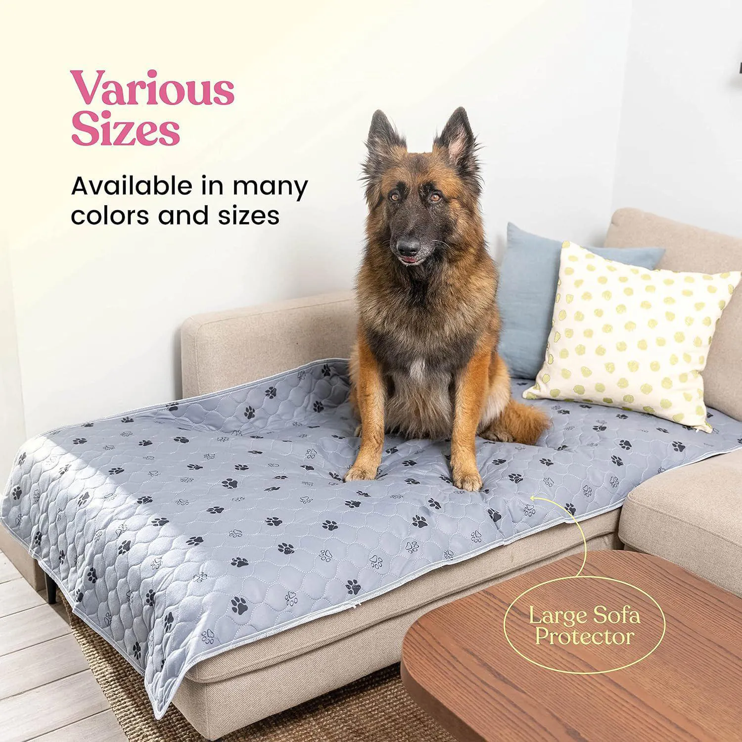 Almohadillas Lavables para Perros con Absorción Rápida y Protección Total 8