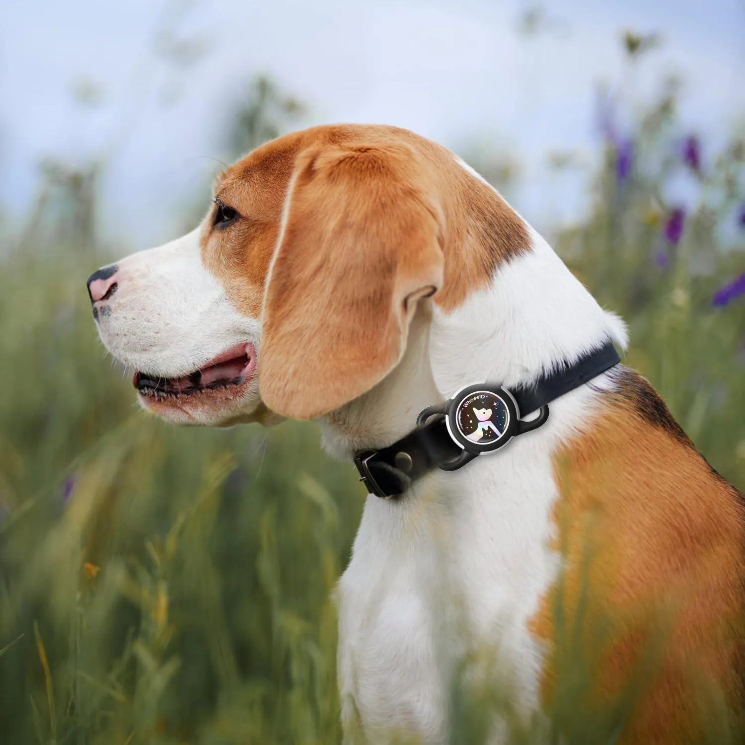 Soporte Impermeable Airtag para Collar de Perro y Gato Pequeño 6