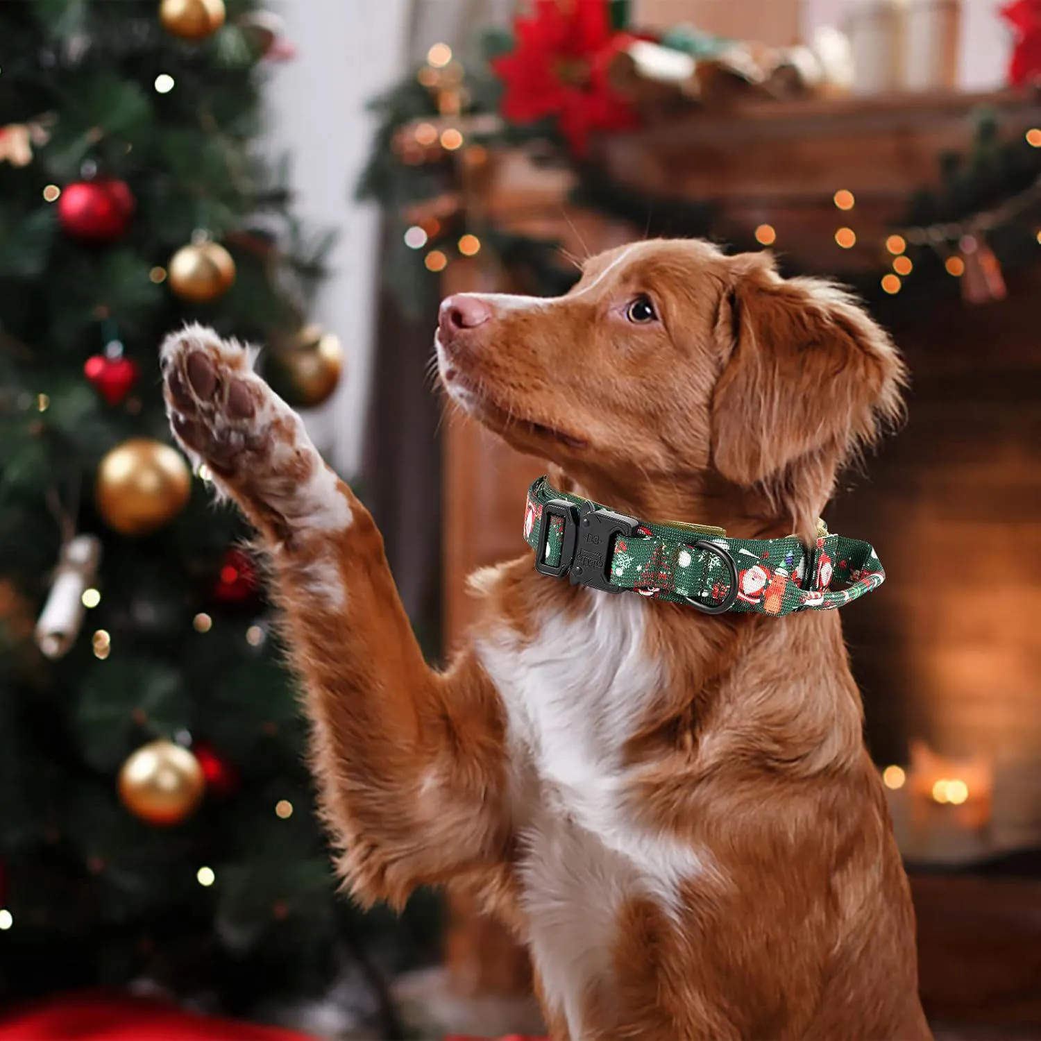 Collar Táctico para Perro Daganxi con Asa y Funda para AirTag 4