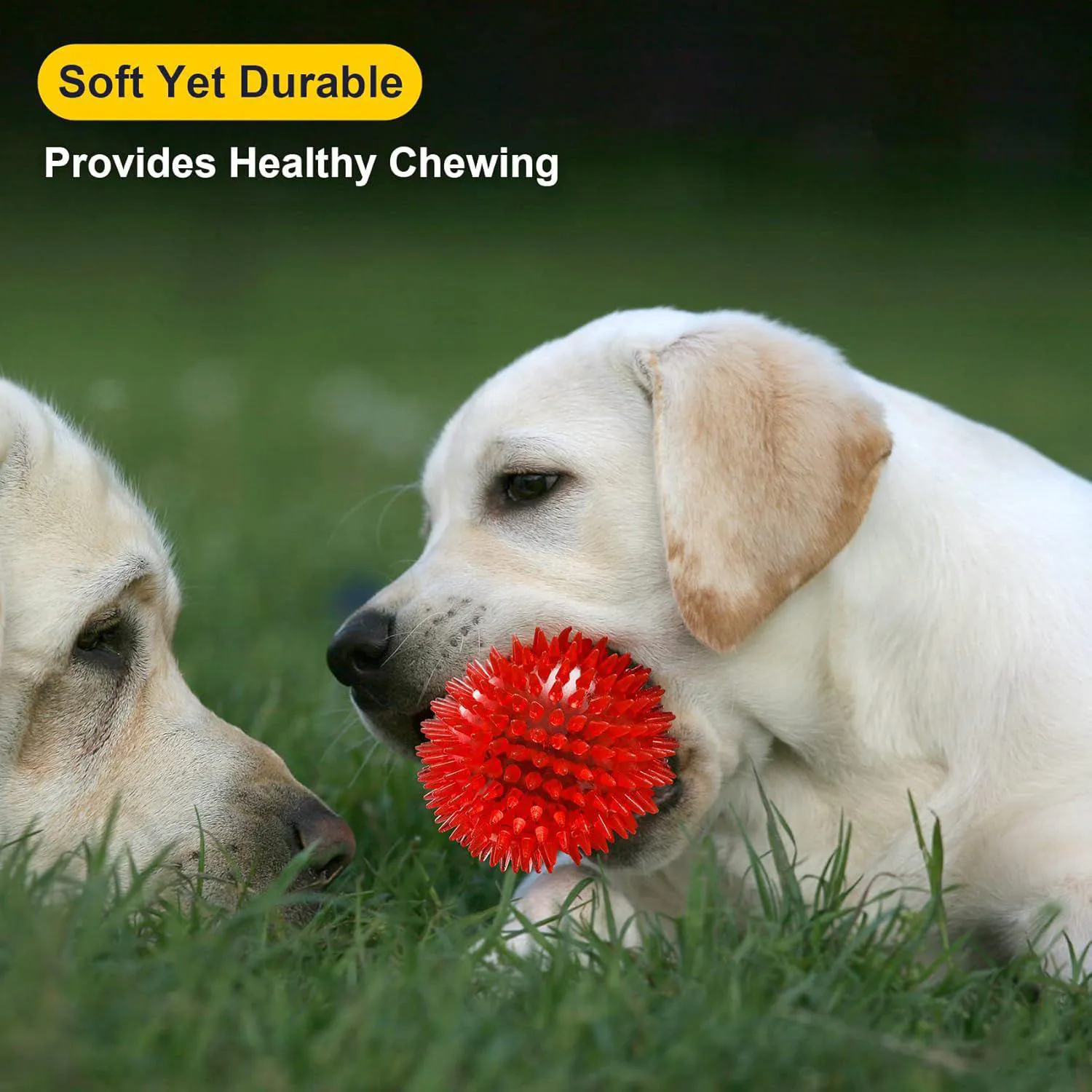 Pelotas Chirriantes Para Perros Resistentes Sin BPA Con Textura Para Dentición 5