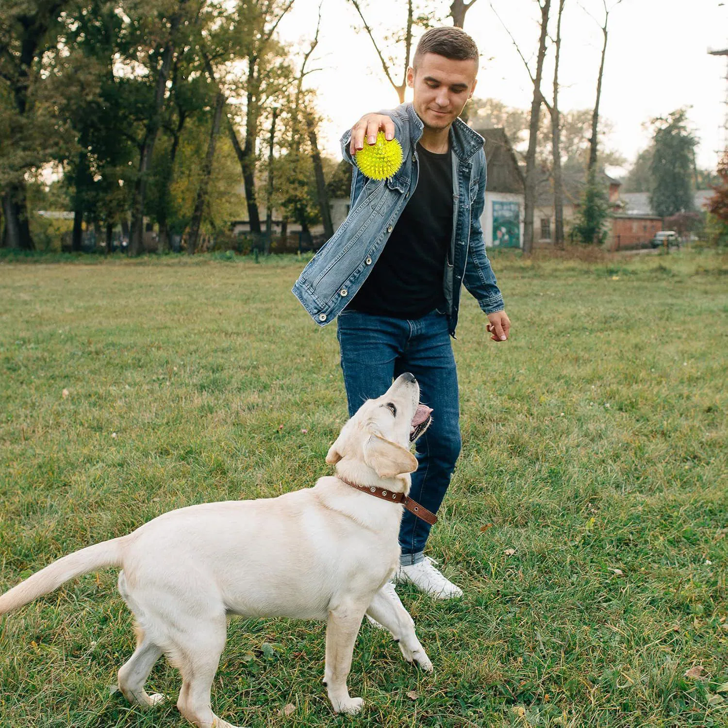 Pelotas Chirriantes Para Perros Resistentes Sin BPA Con Textura Para Dentición 7
