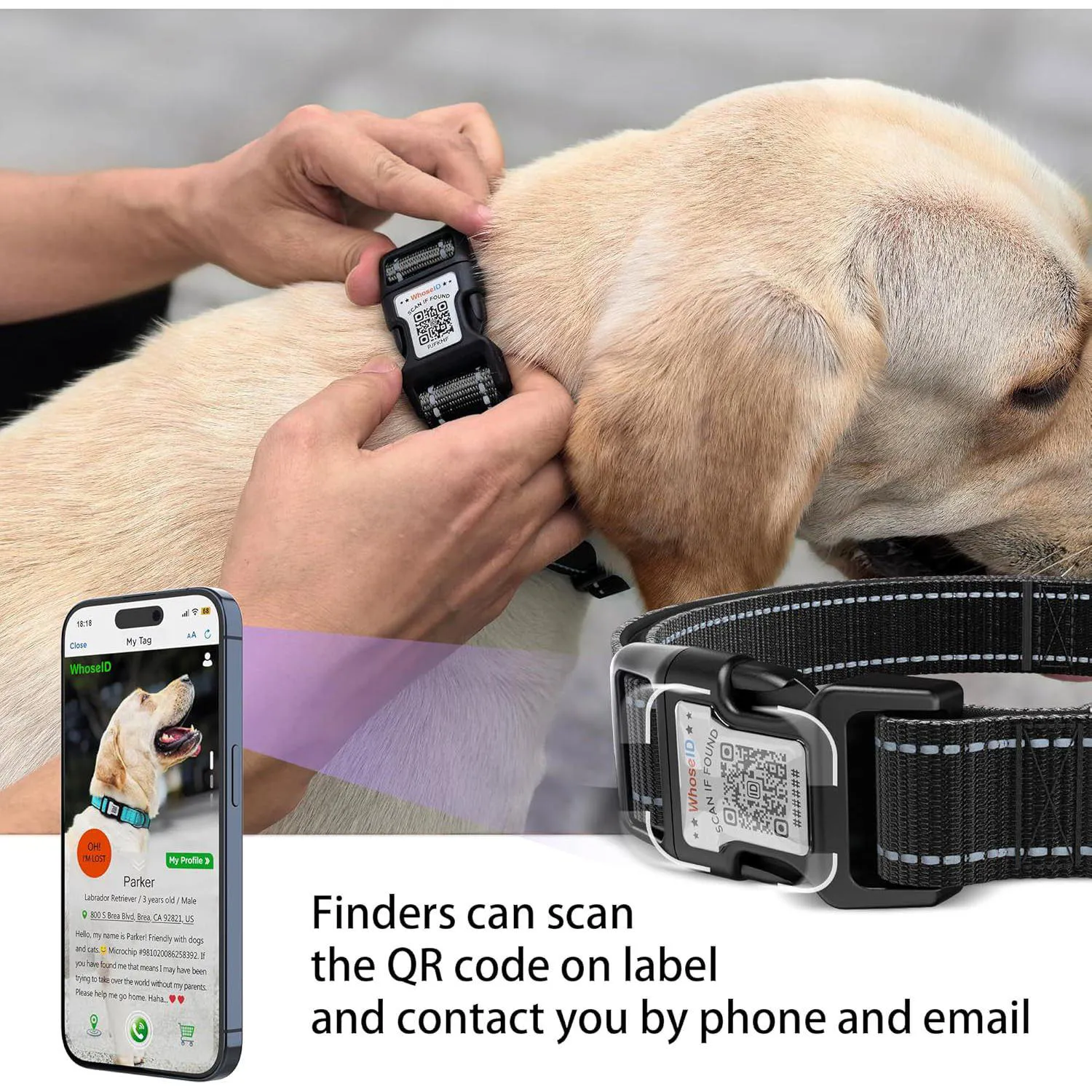 Collar para Perro Reflectante Ajustable con QR y Holder
