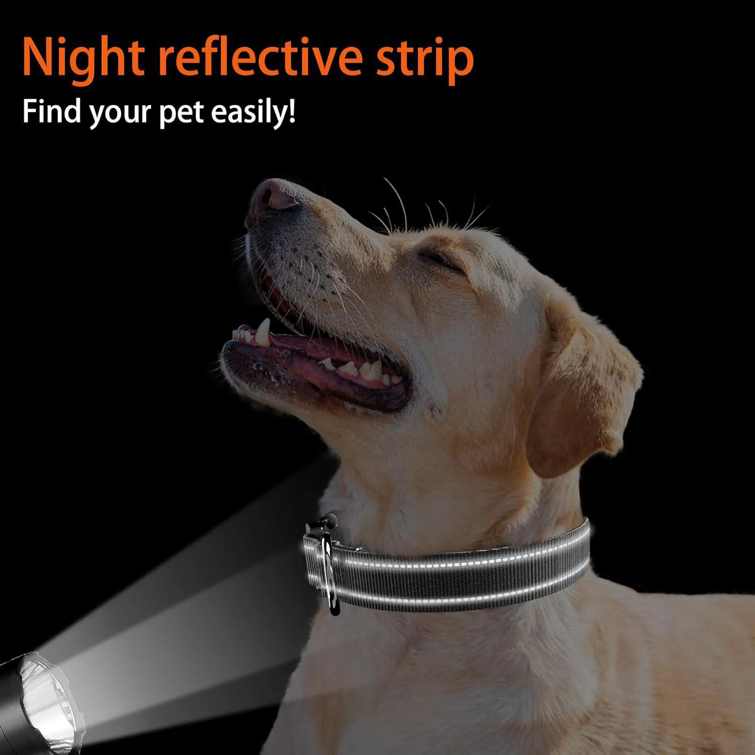 Collar para Perro Reflectante Ajustable con QR y Holder 4