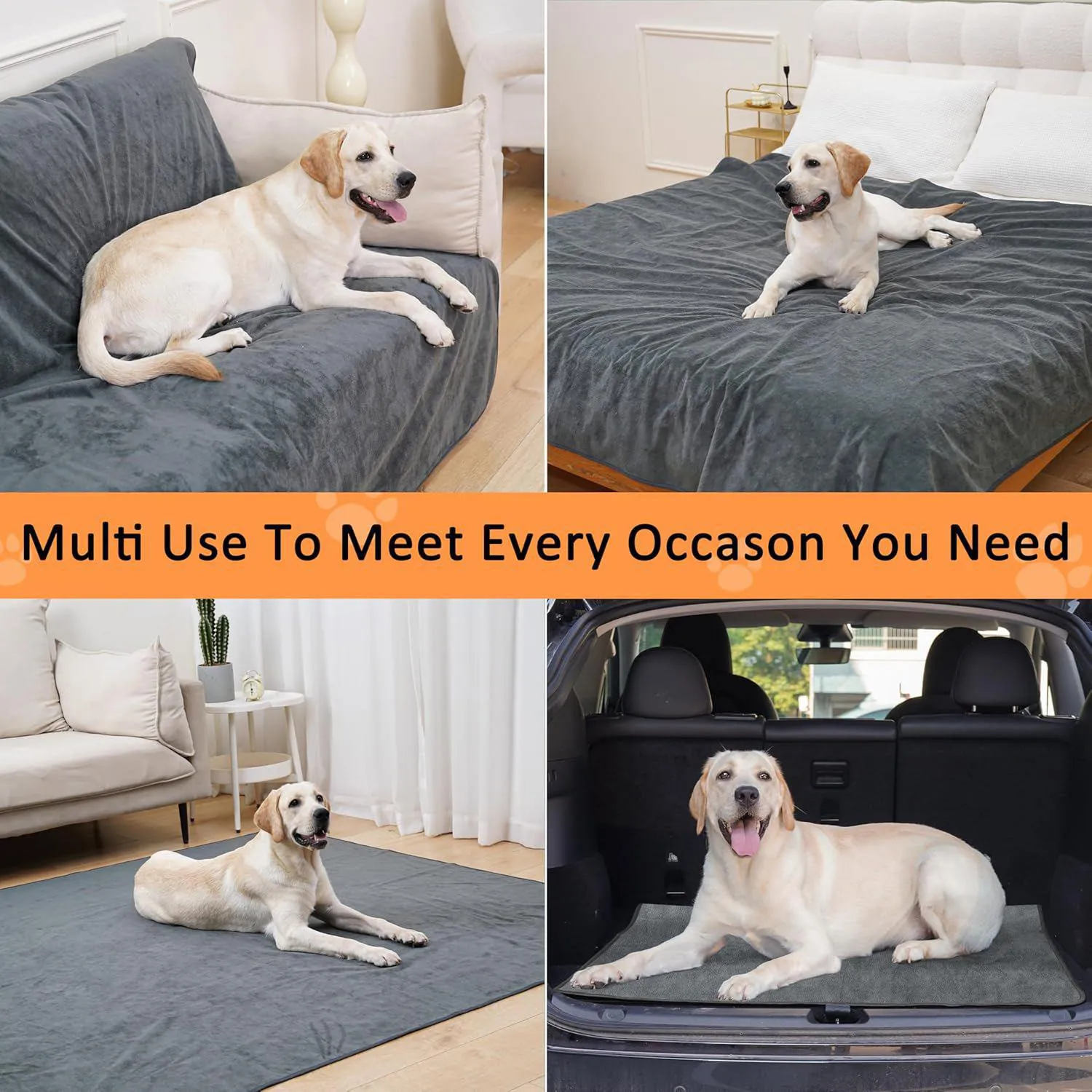 Almohadillas Lavables Impermeables para Entrenamiento de Perros 7