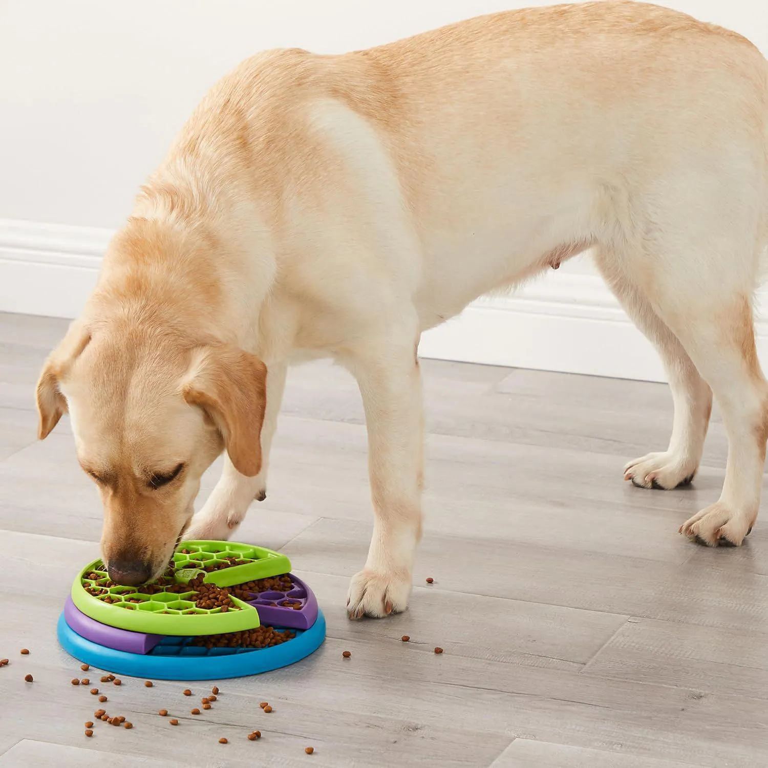 Comedero Interactivo De Rompecabezas Para Perros Con Capas Giratorias 8