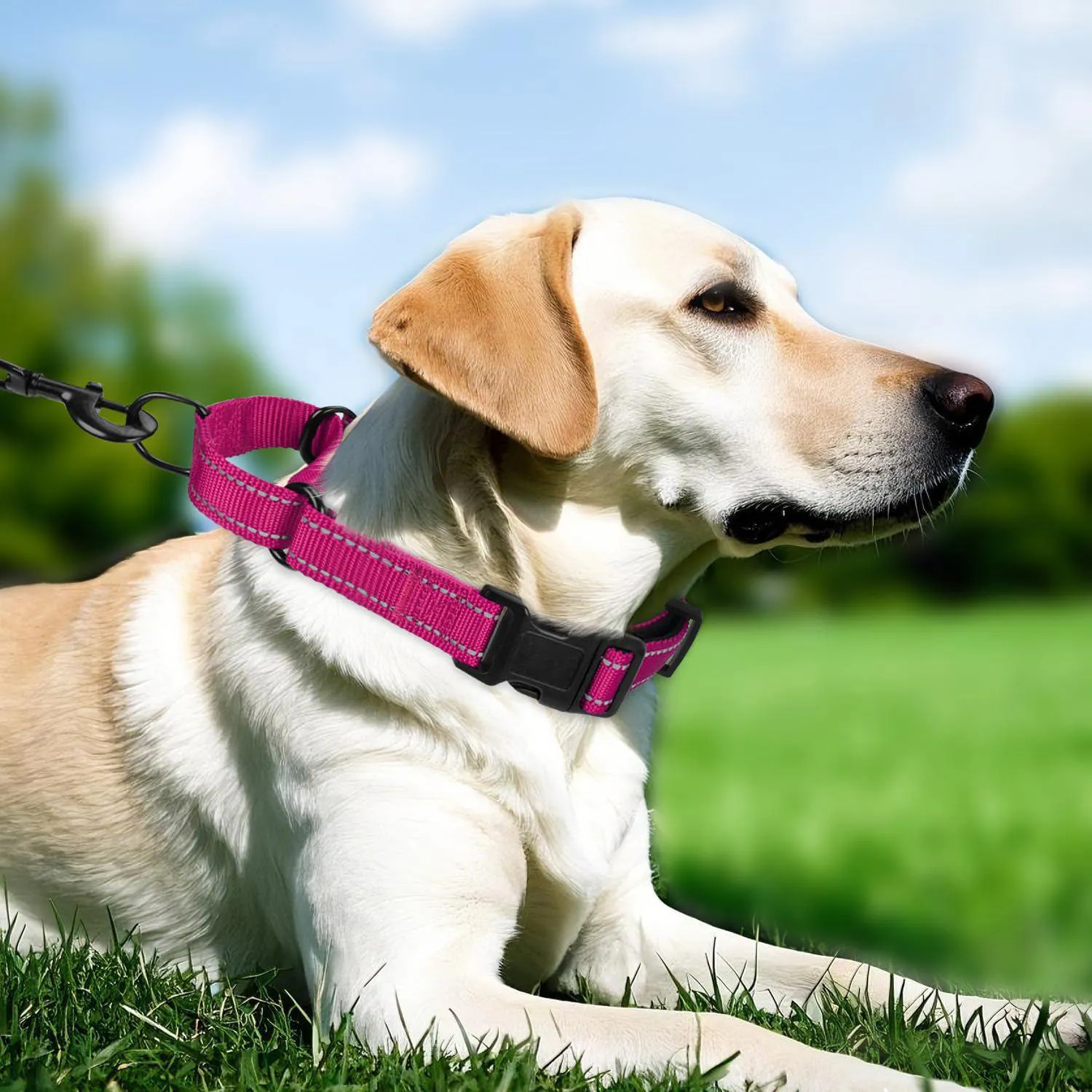 Collar Martingale Neopreno Padded Reflectivo Ajustable Grande
