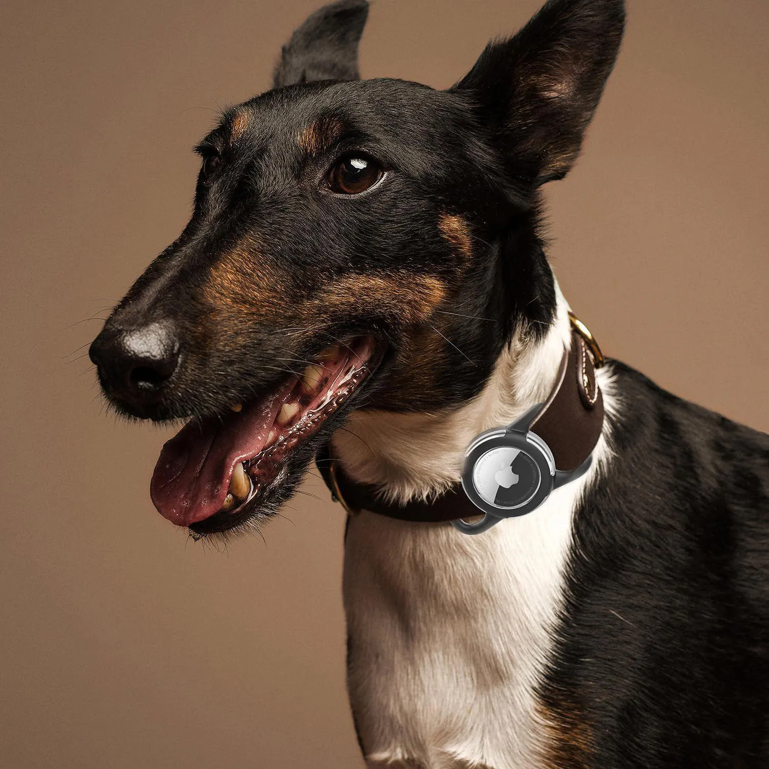 Soporte Impermeable Airtag para Collar de Perro y Gato 7