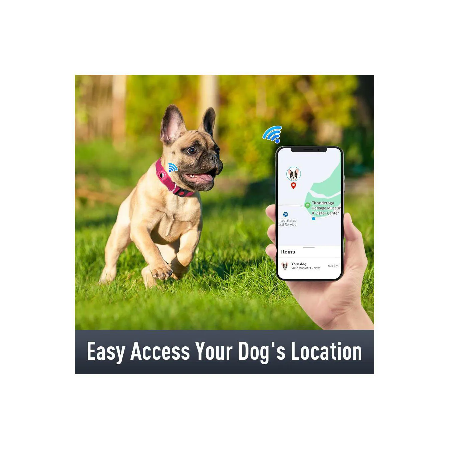 Collar para Perros con Holder AirTag Reflectante Talla S