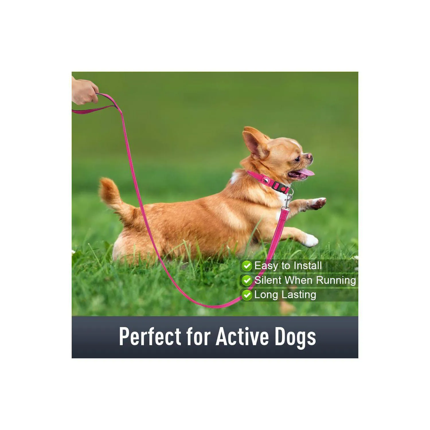Collar para Perros con Holder AirTag Reflectante Talla S 3
