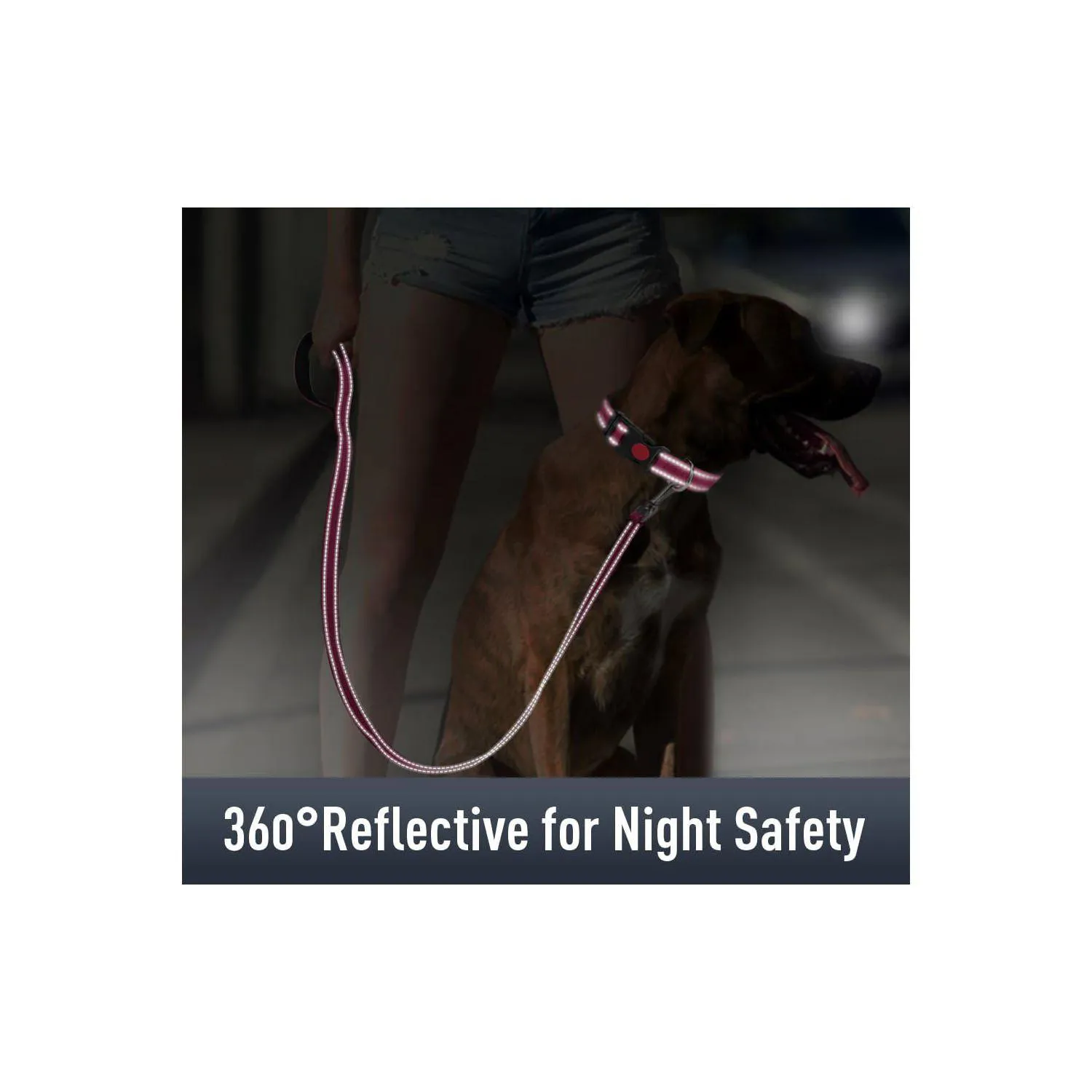 Collar para Perros con Holder AirTag Reflectante Talla S 4