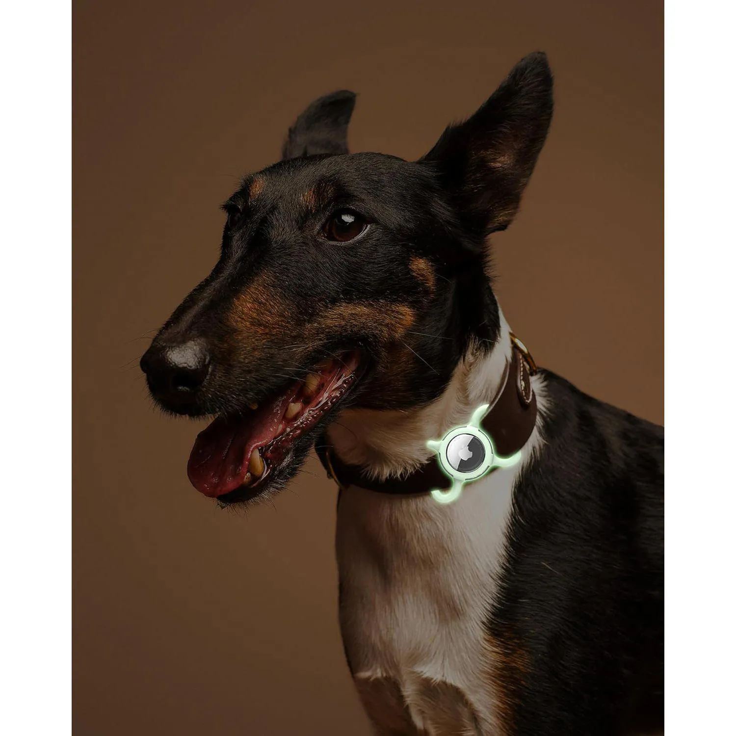 Soporte Airtag para Collar de Perro y Gato en Silicona y ABS Grande 6